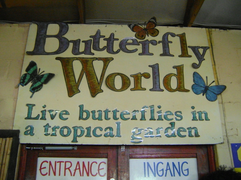 Butterfly World