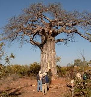 Wilderness Trails: One of the Few Authentic Wilderness Experiences Left