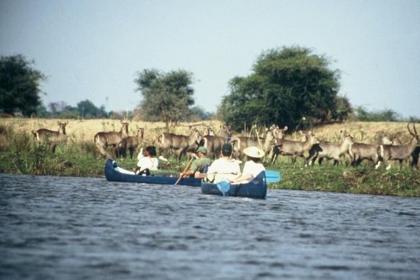 Zambezi Dusk 