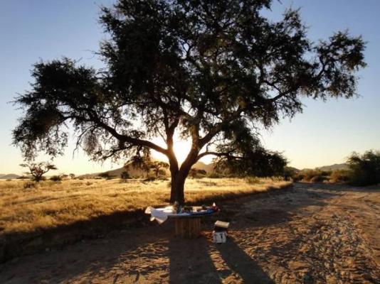 A Little Sossus Campsite | Caravan park | Sossusvlei ...