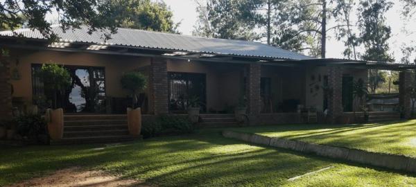 Front view of Uitjie, KitKat and Nguni