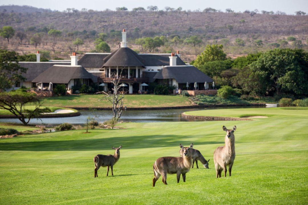 Lukimbi Safari Lodge - Kruger Park