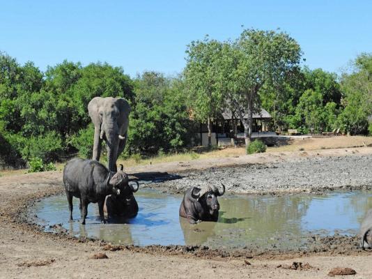 Tangala Safari Camp - 173185