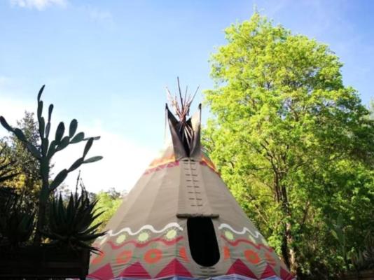 Magical Teepee Experience (The) - 174289