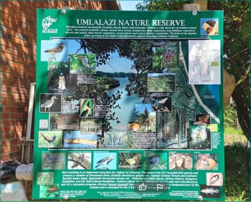 Umlalazi Nature Resort - 208354