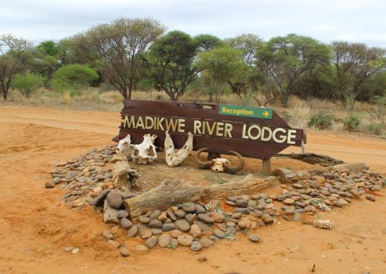 Madikwe River Lodge - 210151