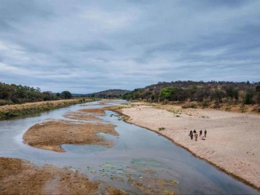 Kingly Bush Camp - 210327