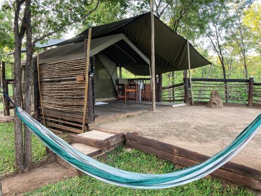 Kingly Bush Camp - 210335