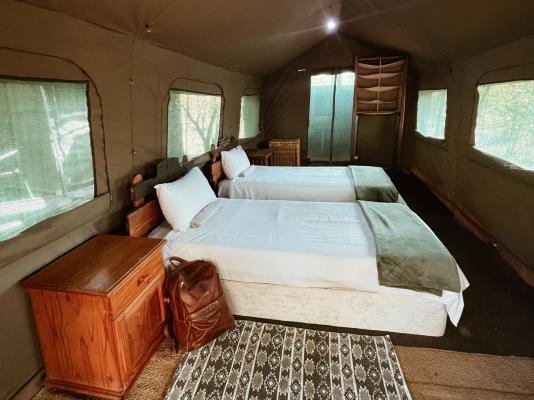 Kingly Bush Camp - 210353