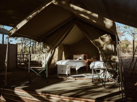 Kingly Bush Camp - 210358