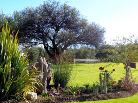 Olive Grove Guest Farm - 212199