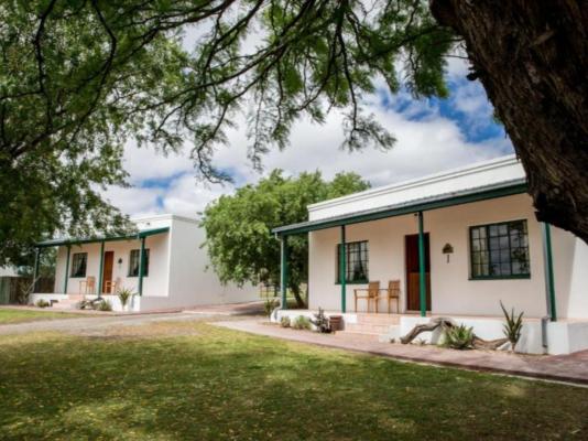 Olive Grove Guest Farm - 212229