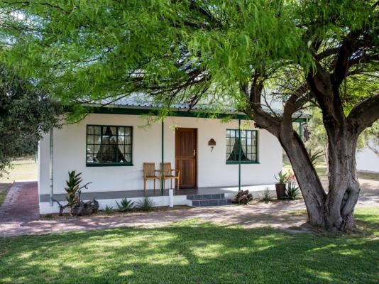 Olive Grove Guest Farm - 212231