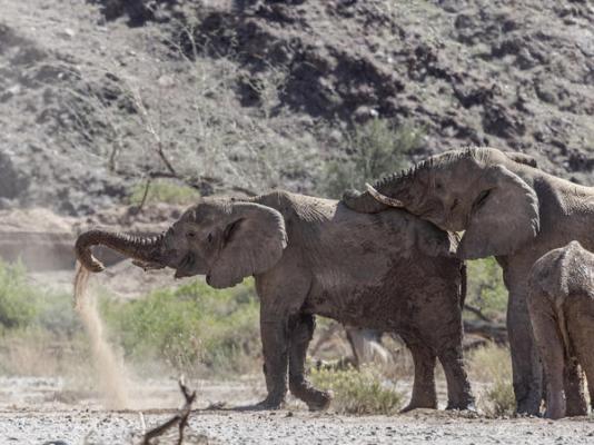 Twyfelfontein Adventure Camp - 212365