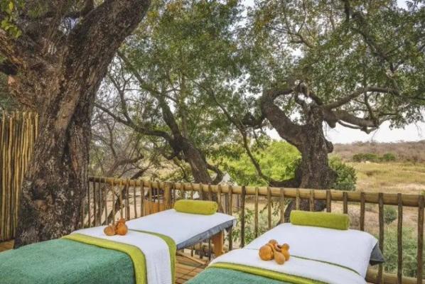 Kruger Gate Hotel - 212481