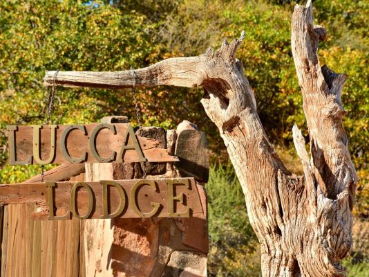 Lucca Lodge - 213911