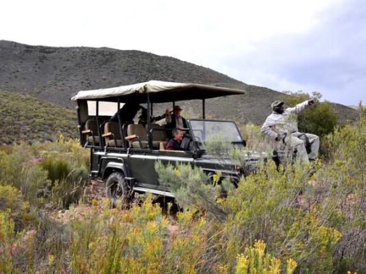 African Game Lodge - 214459