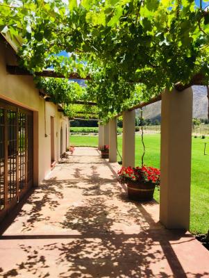 Oaksrest Vineyards Guest Farm - 215589