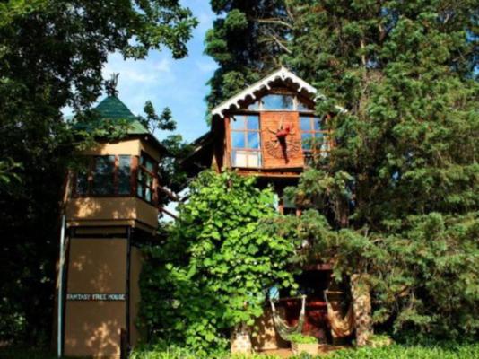 Sycamore Avenue Treehouses - 216943