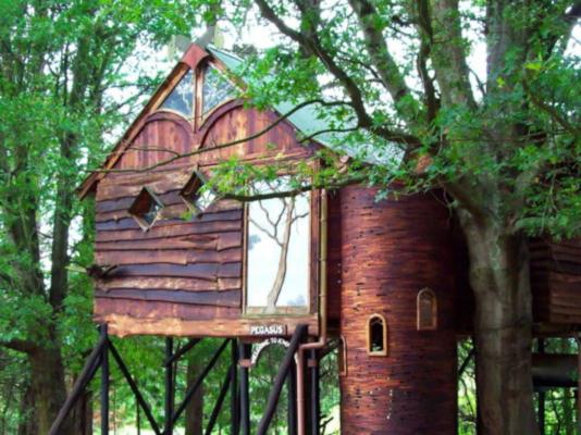 Sycamore Avenue Treehouses - 216952