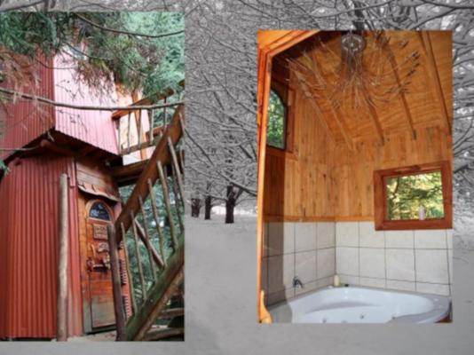 Sycamore Avenue Treehouses - 216961