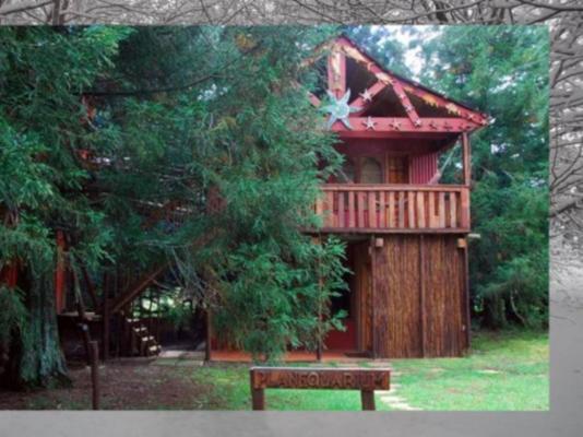 Sycamore Avenue Treehouses - 216962