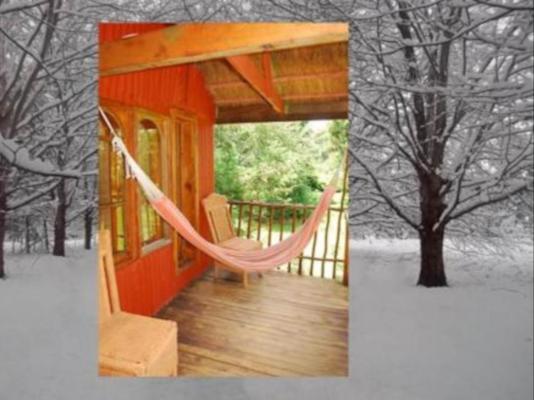 Sycamore Avenue Treehouses - 216963