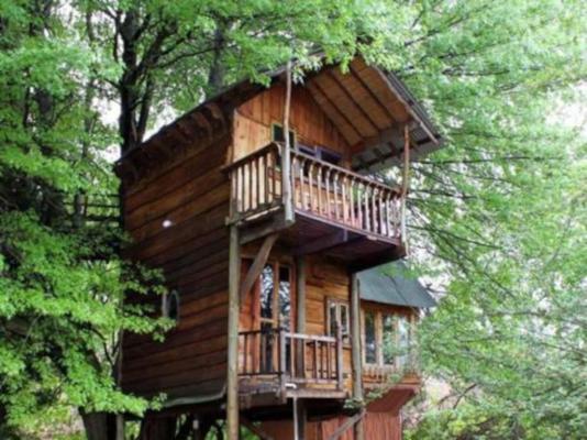 Sycamore Avenue Treehouses - 216966