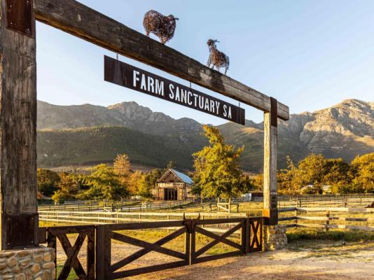 Farm Sanctuary SA - 217009