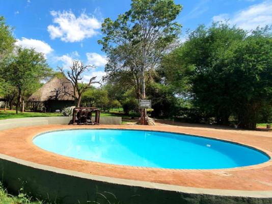 KaMsholo Bushveld Safaris - 217403