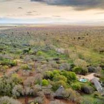 KaMsholo Bushveld Safaris - 217404