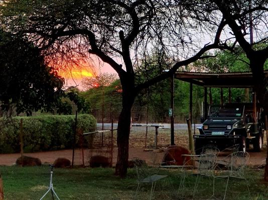 KaMsholo Bushveld Safaris - 217408