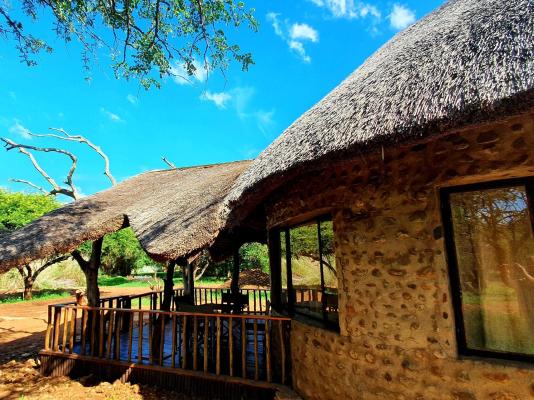 KaMsholo Bushveld Safaris - 217410