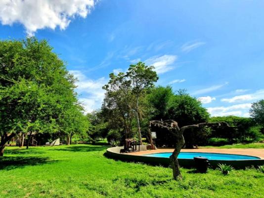 KaMsholo Bushveld Safaris - 217413