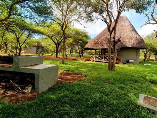 KaMsholo Bushveld Safaris - 217417