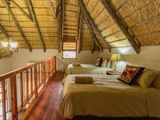 KaMsholo Bushveld Safaris - 217420