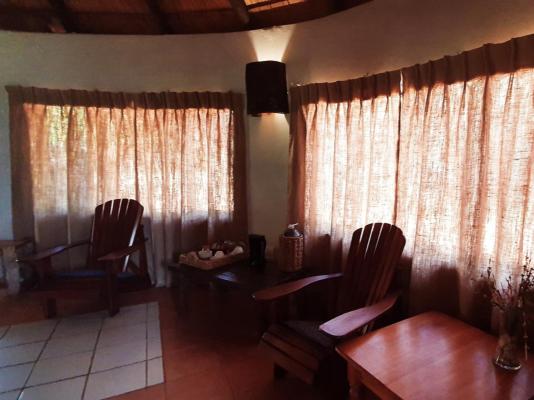 KaMsholo Bushveld Safaris - 217427