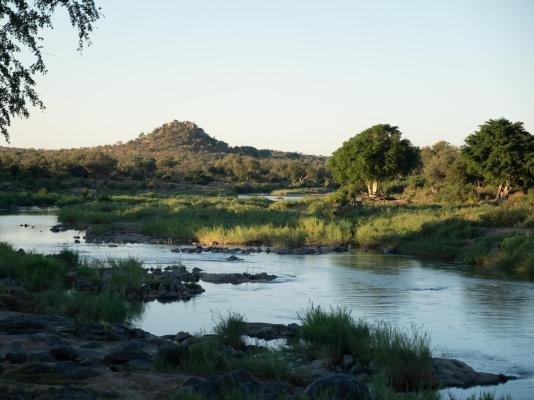 Baluleni Safari Lodge - 218156