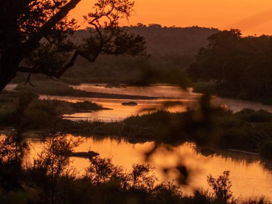 Baluleni Safari Lodge - 218157