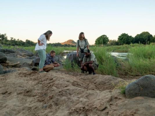 Baluleni Safari Lodge - 218158