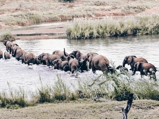 Baluleni Safari Lodge - 218170