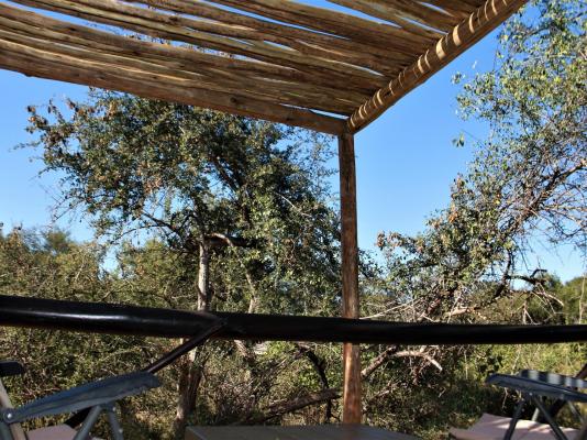 Baluleni Safari Lodge - 218217