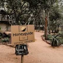 Honeyguide Ranger Camp - 218282