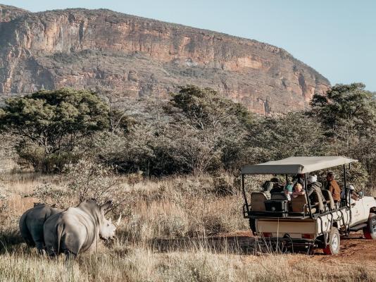 Honeyguide Ranger Camp - 218289