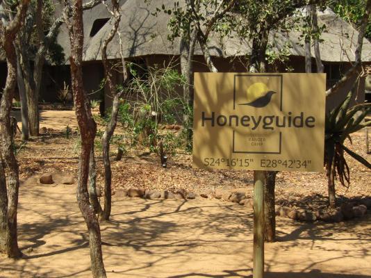 Honeyguide Ranger Camp - 218293