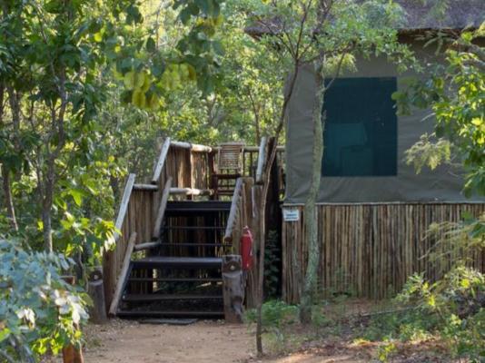 Honeyguide Ranger Camp - 218322