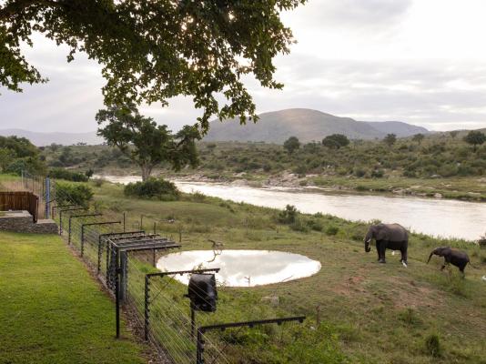 Kambaku River Lodge - 218556