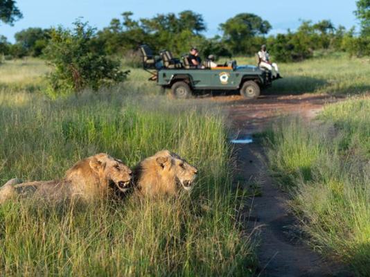 Kambaku Safari Lodge - 218720