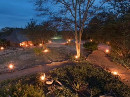 Kambaku Safari Lodge - 218724