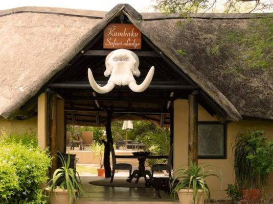 Kambaku Safari Lodge - 218730